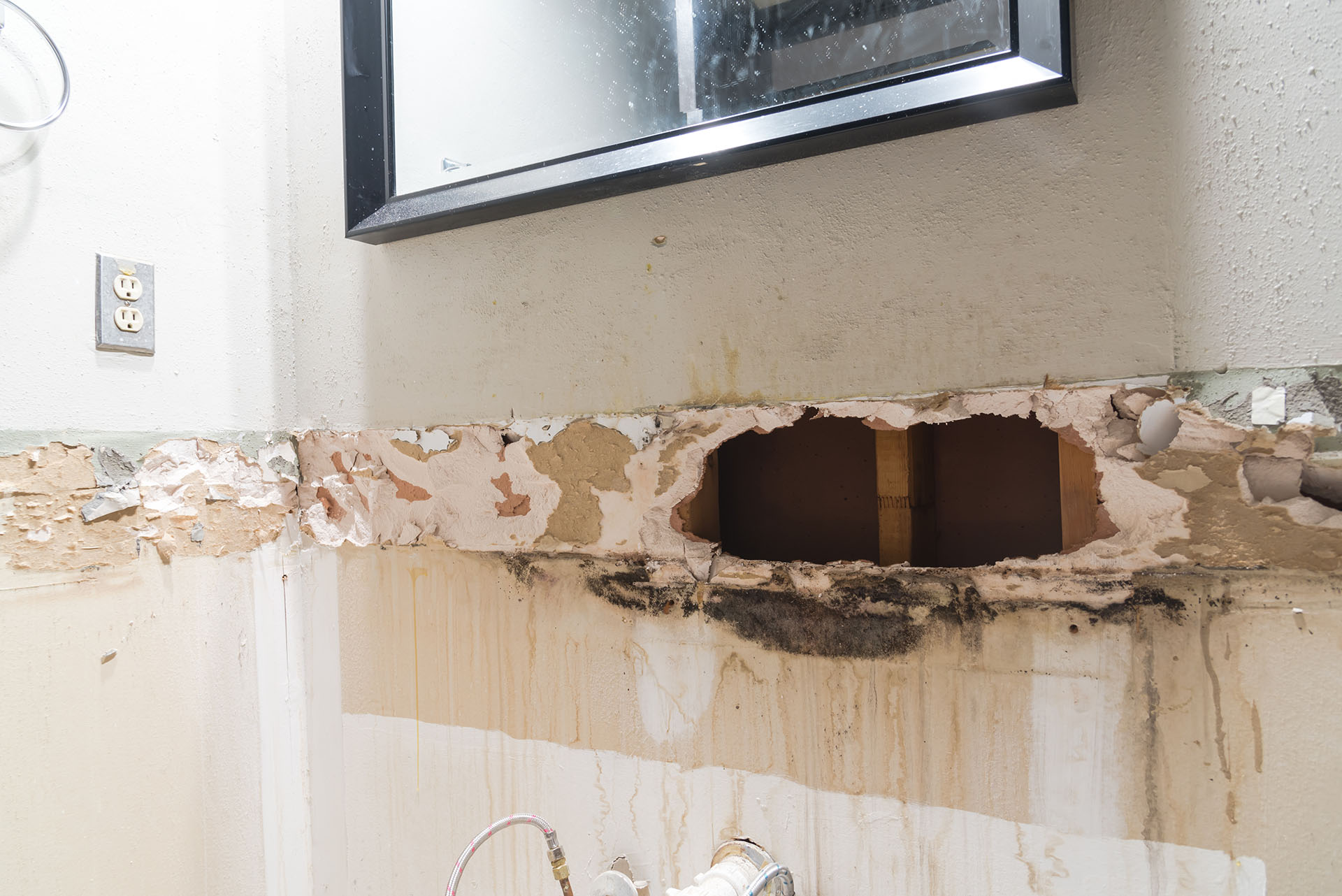 Mold and Wall Damage in Bathroom